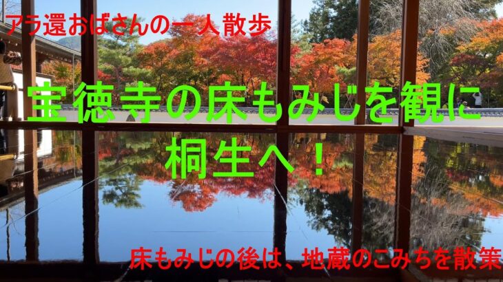 【アラ還おばさんの一人散歩】床もみじを観に、群馬県の宝徳寺へ。床もみじを堪能した後は、「地蔵のこみち」散策でほっこり