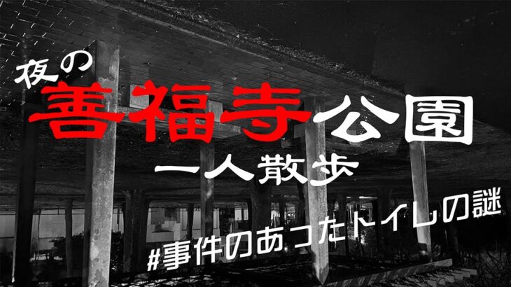 #04【心霊検証】夜の善福寺公園一人散歩