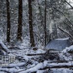 雪降りしきる銀世界の森の中で3日間の雪中ソロキャンプ。