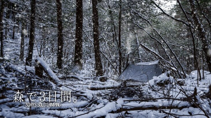 雪降りしきる銀世界の森の中で3日間の雪中ソロキャンプ。