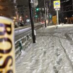 #9 (木) 【雪散歩】大雪が降る上石神井を雪の思い出を語りながら一人、散歩。『世界一面白い散歩』　#ラジオ #散歩 #上石神井