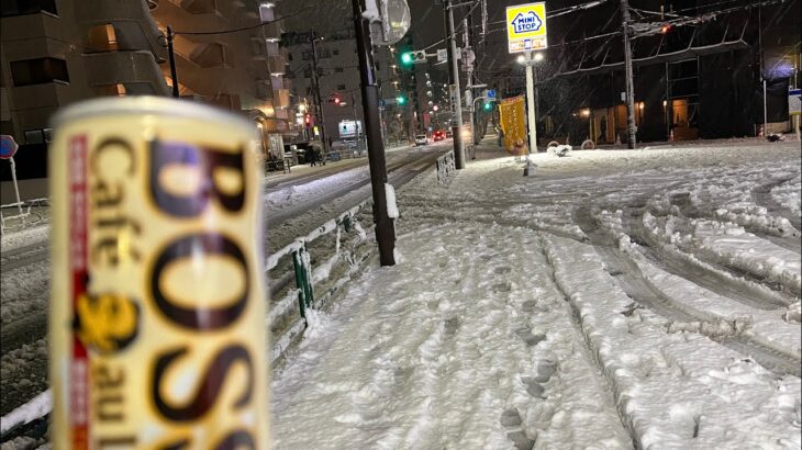 #9 (木) 【雪散歩】大雪が降る上石神井を雪の思い出を語りながら一人、散歩。『世界一面白い散歩』　#ラジオ #散歩 #上石神井