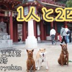 【Vlog】九州旅行2日目。愛犬と福岡旅！【1人と2匹旅】