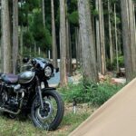 【W800cafe 】バイクで行くソロキャンプ🏕️