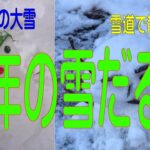 雪だるま、雪の中で一人の散歩。