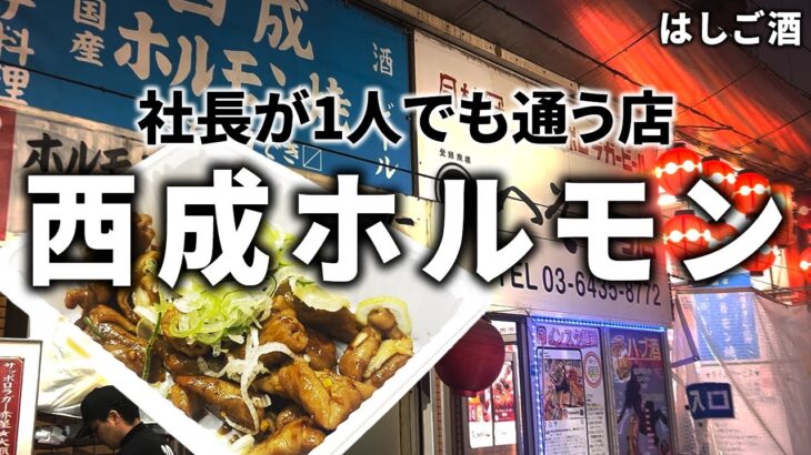 【新橋ではしご酒】独身社長が一人呑みする穴場スポット【西成ホルモン】