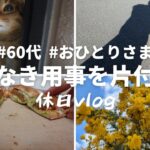 【名もなき用事を片付ける】休日vlog～母の用事と家事｜確定申告｜60代｜おひとりさま