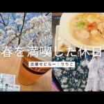 【 春を満喫した休日🌸】30代OL、仕入れをしながら過ごした春のおひとりさま休日 🌷