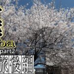 【千葉】男一人旅後編【絶景】【Chiba-Solo Trip②】