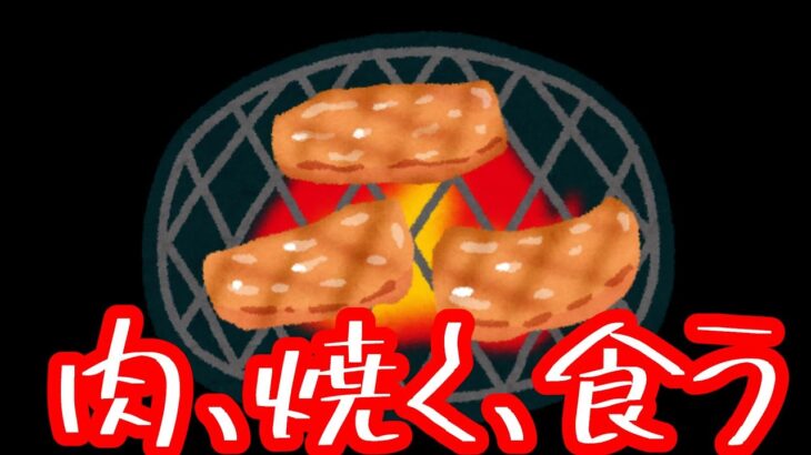 成人男性が一人焼肉をするから見てて