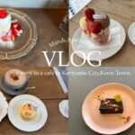 【vlog】初おひとり様でカフェ巡りをした休日🍰🍴| 美味しくて可愛いおやつに癒される😌🍓