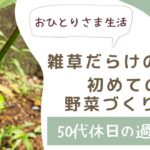 【50代の休日 おひとりさま生活 】#２　雑草だらけの実家の庭で初めての野菜づくり。初心者の畑づくり。【家庭菜園0年目】