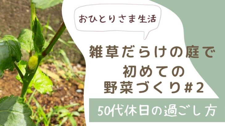 【50代の休日 おひとりさま生活 】#２　雑草だらけの実家の庭で初めての野菜づくり。初心者の畑づくり。【家庭菜園0年目】