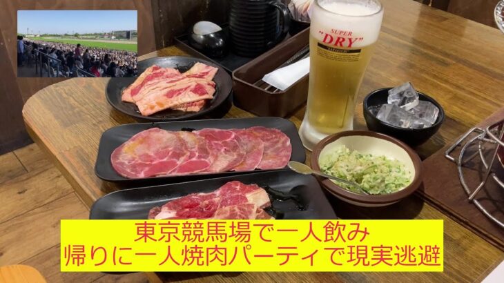 【一人飲み】競馬で負けた後は一人焼肉パーティー