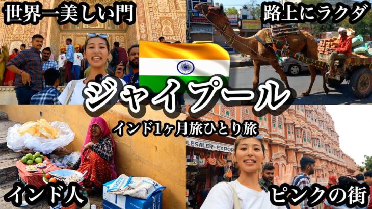 【インド女一人旅】インドだってオシャレだもん！！ピンクシティ、ジャイプール (世界一周中) 4K