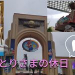 おひとりさまの休日【5/30　USJ】