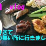 【一人暮らしVlog】おひとり様の休日はヒマすぎな訳で・・・。＃Vlog＃ひとりぐらし＃簡単＃節約＃夕食＃自炊＃手抜き＃自炊記録