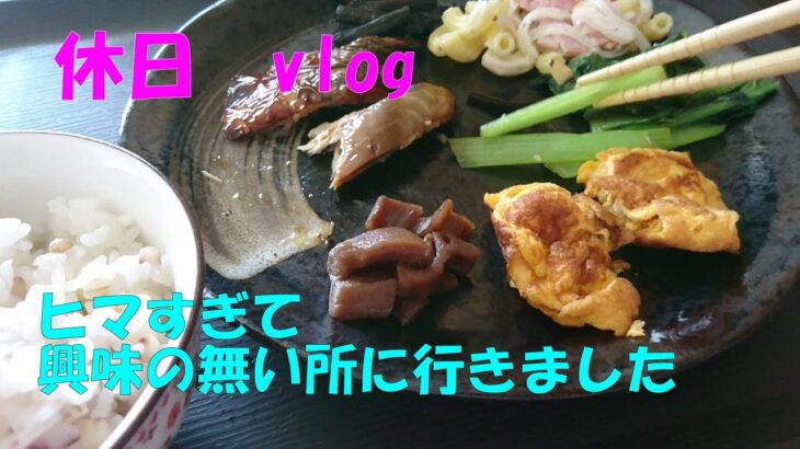 【一人暮らしVlog】おひとり様の休日はヒマすぎな訳で・・・。＃Vlog＃ひとりぐらし＃簡単＃節約＃夕食＃自炊＃手抜き＃自炊記録