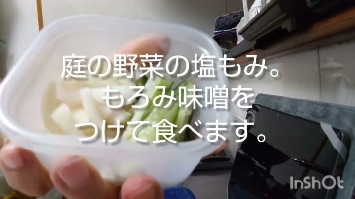 ひとり暮らし、ふたり飯。今週の作り置き。食費月1万円でも豊かに暮らす。#ひとり暮らし #ふたり飯 #保護猫 #猫との暮らし #長崎#物価高対策 #暮らし向き #日々のごはん