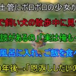 【感動する話】ボロボロの少女が公園で一人。夫婦で飼い犬の散歩中に見つけた妻「相談があるの」夫「実は俺も」少女をお風呂に入れ、ご飯を食べさせた10年後→「恩返ししたいの」（泣ける話）感動ストーリー朗読