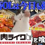 【焼肉ライク】匠カルビ＆ハラミセット！社畜の贅沢なひととき！！一人焼肉店は素晴らしい…#猫ミーム  #cat   #おすすめにのりたい  #猫のいる暮らし  #焼肉ライク  #やきにく　#ぼっち