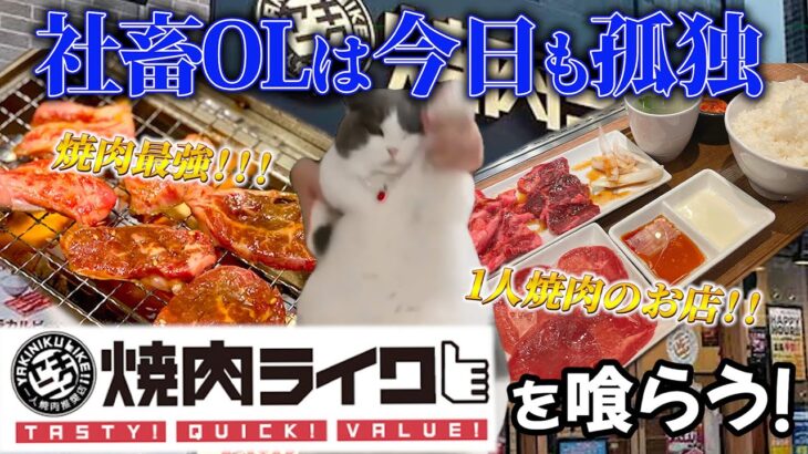 【焼肉ライク】匠カルビ＆ハラミセット！社畜の贅沢なひととき！！一人焼肉店は素晴らしい…#猫ミーム  #cat   #おすすめにのりたい  #猫のいる暮らし  #焼肉ライク  #やきにく　#ぼっち