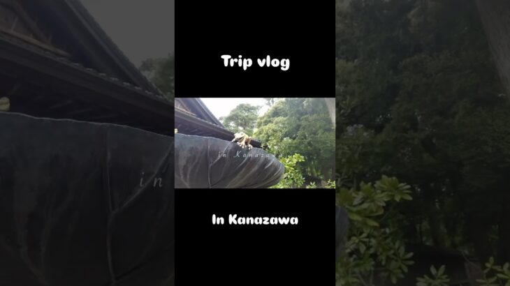 金沢trip #ヒッチハイク#バックパッカー#日本一周#旅人#一人旅#観光#ブイログ#vlog#ブイログ #金沢観光#石川県 #兼六園#1人飲み#