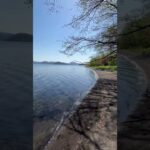 獨自漫步屈斜路湖。一人で屈斜路湖を散歩しています。walking alone by Kussharo Lake. #hokkaido #北海道 #travel #旅行