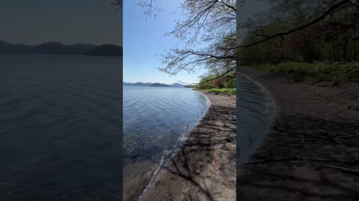 獨自漫步屈斜路湖。一人で屈斜路湖を散歩しています。walking alone by Kussharo Lake. #hokkaido #北海道 #travel #旅行