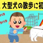 【ほのぼの】一人で大型犬の散歩したいと言い張る娘が初挑戦した結果www