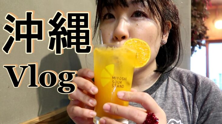 おばさんひとりで沖縄の酒場5軒はしごシメはもちろんソーキそば【沖縄Vlog】沖縄飲食店経営者に聞いた一人でも孤独になれない酒場情報 うちなーんちゅ飲み友作りの一期一会沖縄旅行2日目