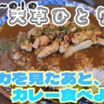 【天草一人飯】イルカを見た後に食べるカレー！