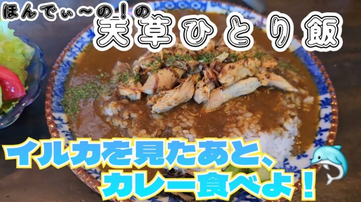 【天草一人飯】イルカを見た後に食べるカレー！