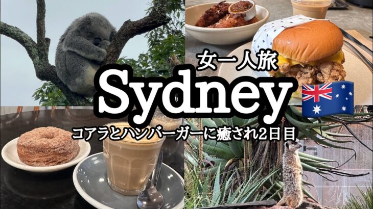 【vlog】オーストラリア女一人旅🇦🇺|タロンガ動物園でコアラとミーアキャットに癒されday|シドニー2日目にして最終日