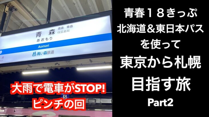 【男ひとり旅】青春18きっぷと北海道&東日本パスを使って東京から札幌へ行く旅 Part1(青森まで 第三セクター利用（IIGRいわて銀河鉄道 青い森鉄道）