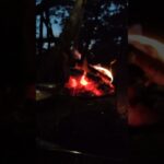 初夏の夕暮れ焚き火とランタン2024/6/1 #camping #キャンプ