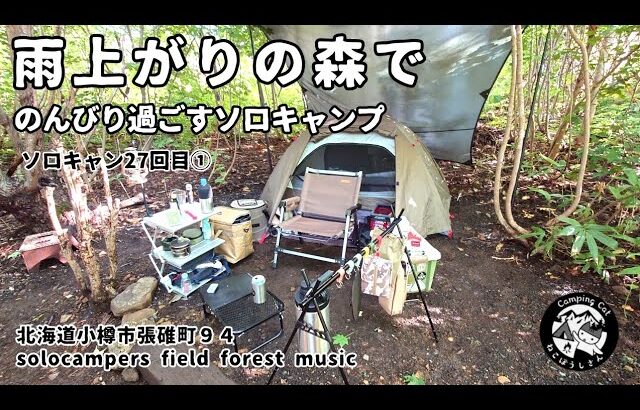 27回目のソロキャンプ★夏の森の心地よさを体感！★solocampers field FOREST MUSIC