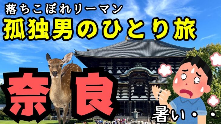 【孤独独身男のひとり旅】孤独男の贅沢奈良旅行！のはずが、暑いし鹿には無視されるしで災難？！【落ちこぼれリーマンの旅行blog】