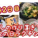 【おひとりさま晩ごはん】休日は少しやる気出してちょこっと作り置きで次の日ラクチン♪