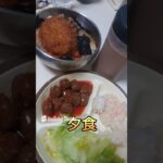 40代孤独なひとり飯：No 69