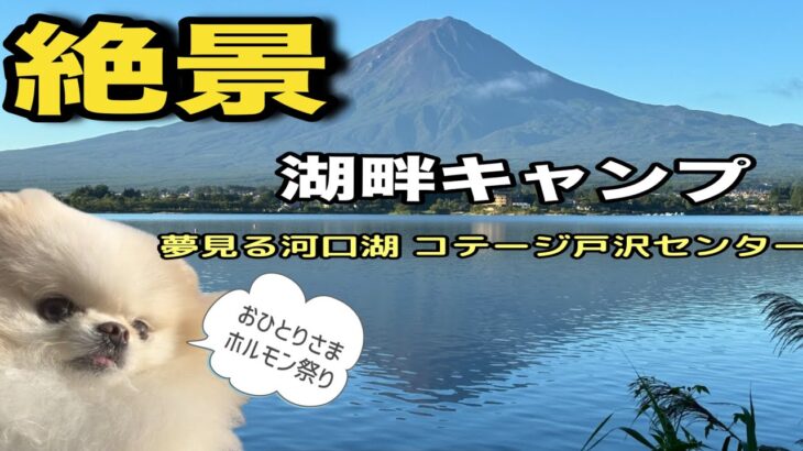 【夢見る河口湖コテージ戸沢センター】50代女子ソロキャンプ #ゆるキャン聖地 #ソロキャン女子 #犬連れキャンプ #アラフィフ #vクラス  #車中泊 #河口湖　#湖畔キャンプ #アポロン