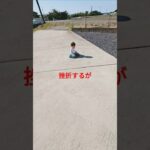 犬の散歩係りさん②挫折を乗り越え立派に一人前になりました#散歩#育児 #shorts