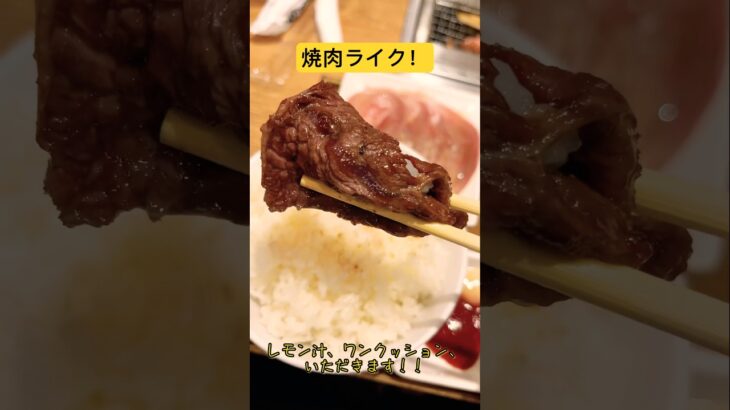 一人焼肉最高すぎる