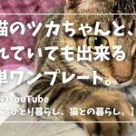 疲れていても出来る平日簡単ワンプレート。♯ひとり暮らし♯猫との暮らし♯猫と生きる♯ワンプレート♯ひとり飯