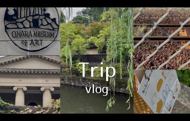 ［ 旅行vlog ］美観地区一人旅|大原美術館🖼️|朝散歩👟|