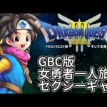 GBC版DQ3セクシーギャル女勇者一人旅【神竜までグランドラゴーンなし】 #5