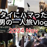 【🇹🇭タイ・チェンマイ 男一人旅Vlog 2024.11】Part8 チェンマイ   タイフード  タイ旅行  タイ移住