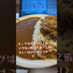 【ひとり飯】すき家のキングカレーは、無かったのでメガカレー　おかわりすれば良かったのか