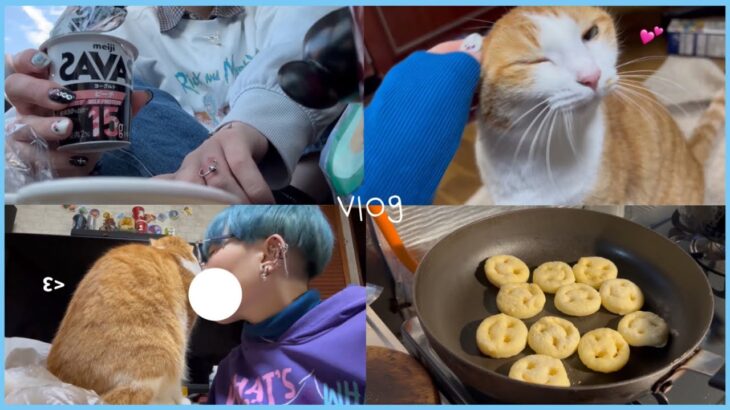 vlog336おひとりさまな休日は猫を愛でる日🐈🎀