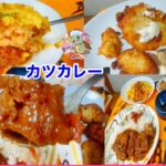 【ひとり飯】カツカレーやオムライスを一人称視点で食べたけん見てくれるかな。【だいすけの食事channel】